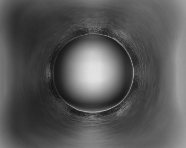 X0000089441252200706151407