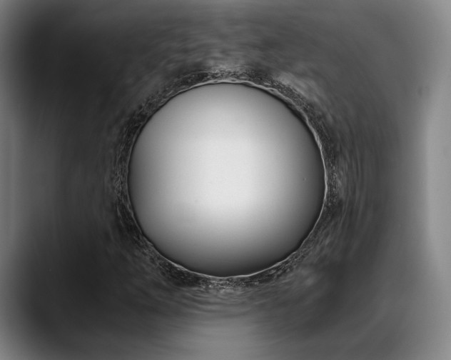 X0000089441254200706151407