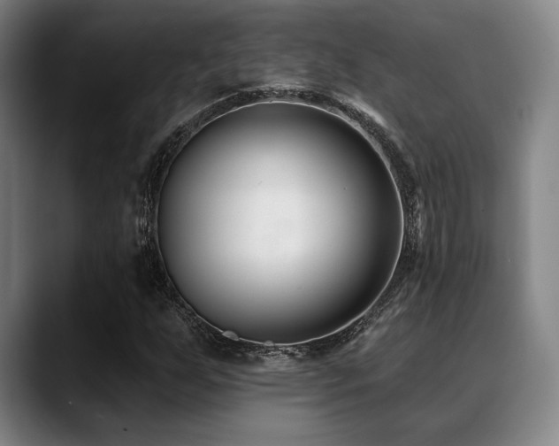 X0000089441255200706151407