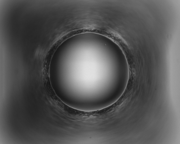 X0000089441256200706151407