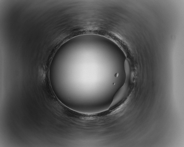 X0000089441257200706151407