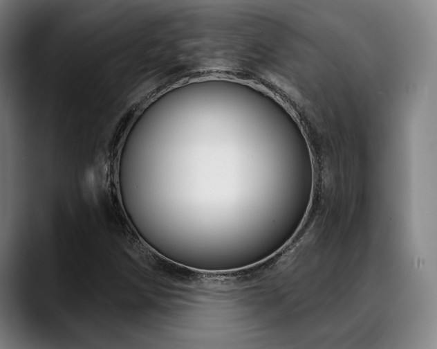 X0000089441258200706151407