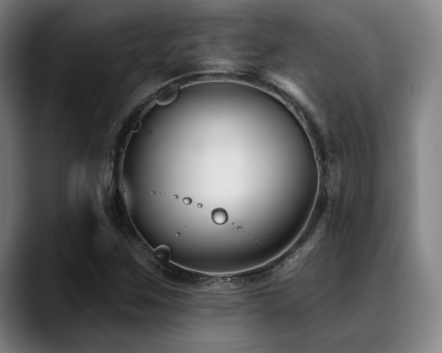 X0000089441259200706151407