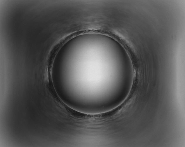 X0000089441262200706151407