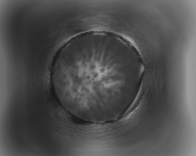 X0000089441263200706151407