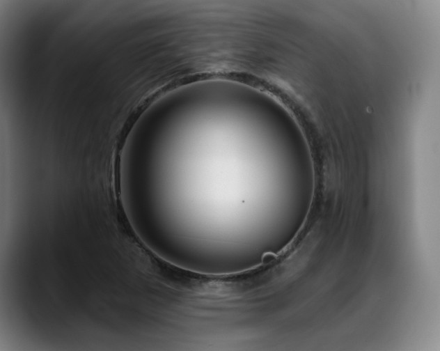 X0000089441265200706151407