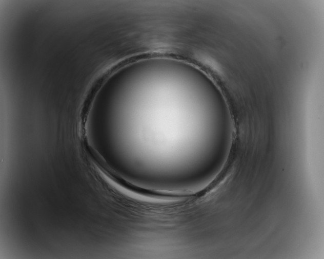 X0000089441267200706151407