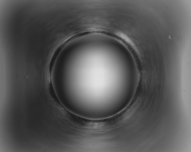 X0000089441269200706151407