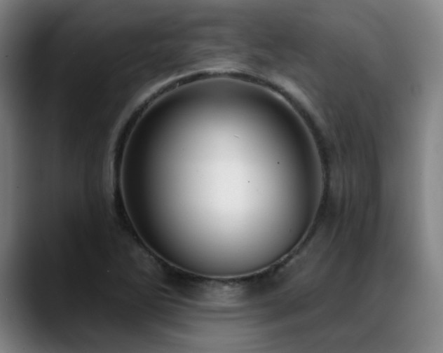 X0000089441270200706151407