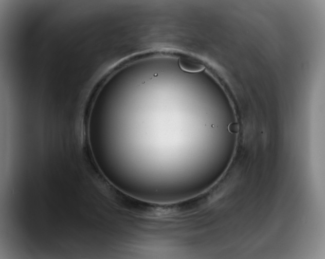 X0000089441271200706151407