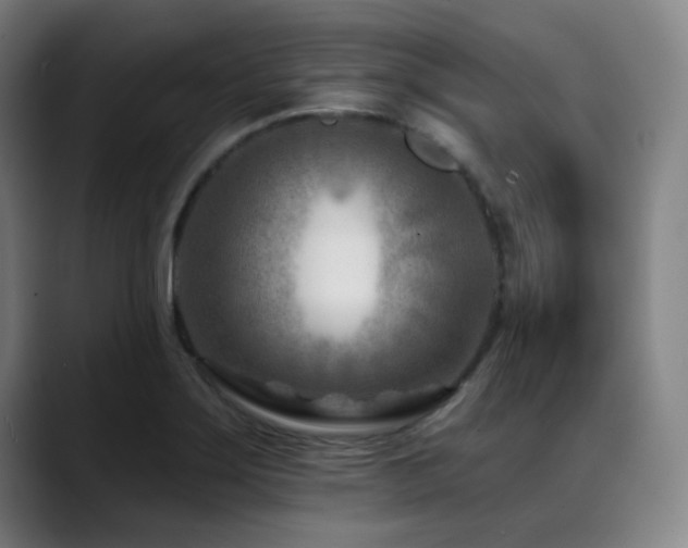 X0000089441275200706151407