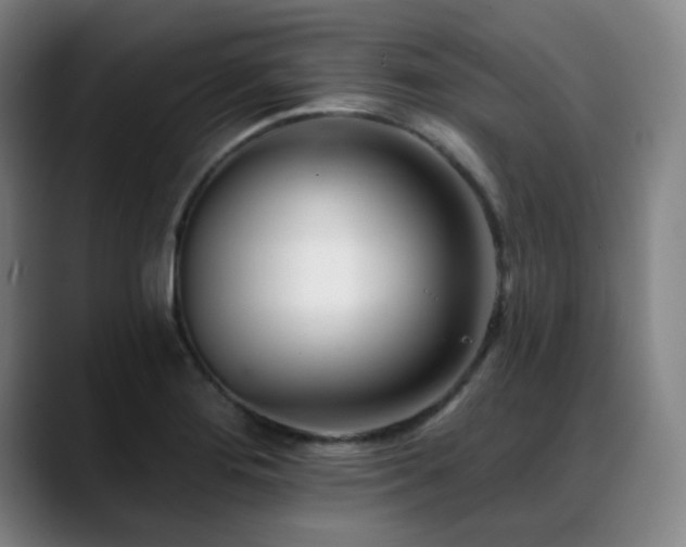 X0000089441276200706151407
