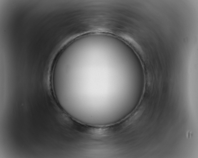 X0000089441278200706151407