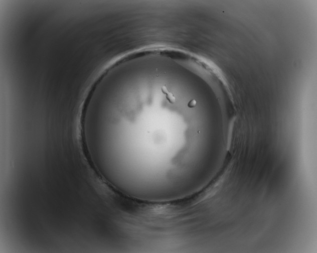 X0000089441279200706151407