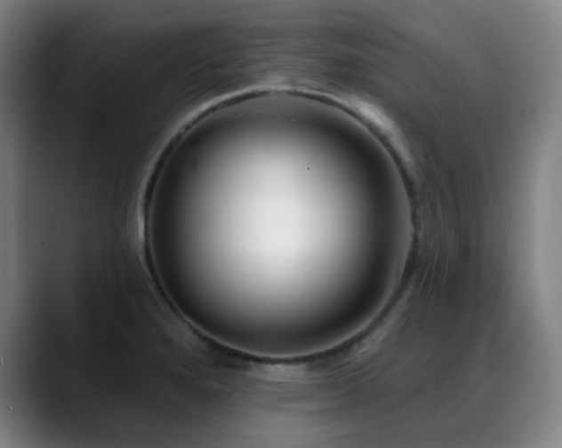 X0000089441280200706151407