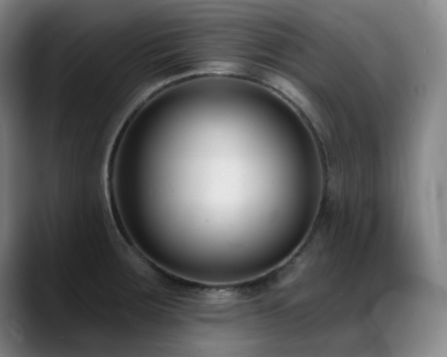 X0000089441283200706151407