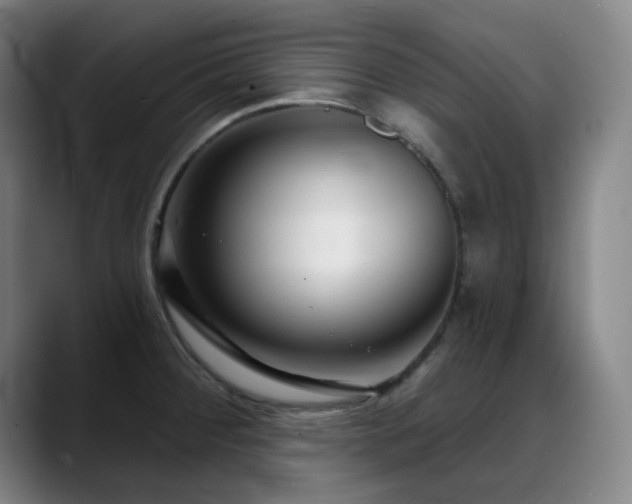 X0000089441284200706151407