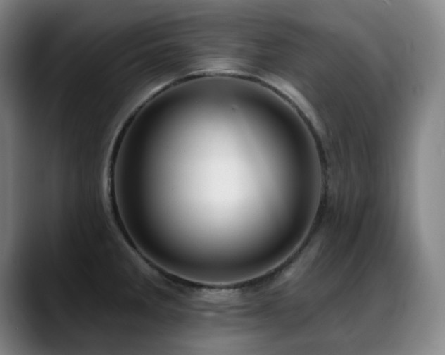 X0000089441285200706151407