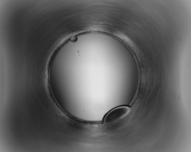 X0000089441286200706151407
