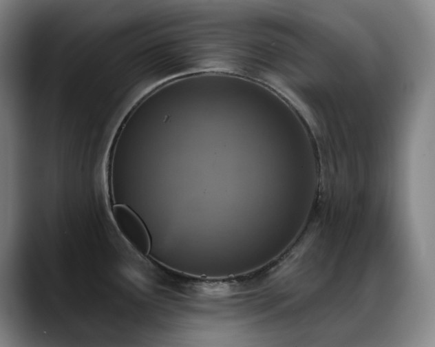 X0000089441291200706151407