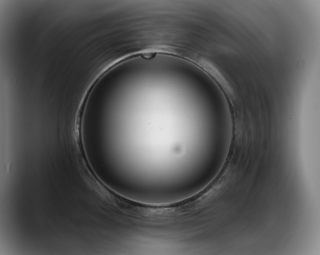 X0000089441292200706151407