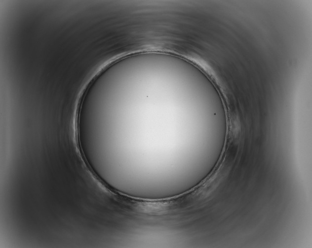 X0000089441294200706151406