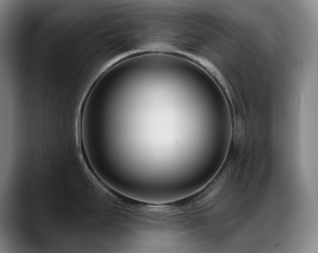 X0000089441295200706151406