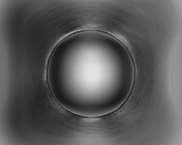 X0000089441296200706151406