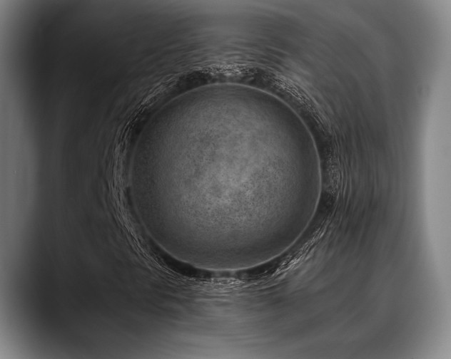 X0000089441297200706151406