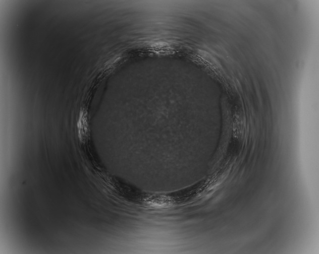 X0000089441298200706151406