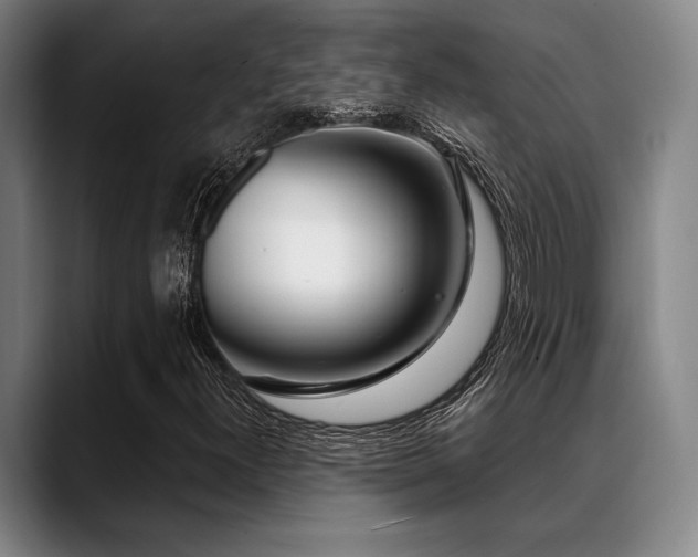 X0000089441300200706151406