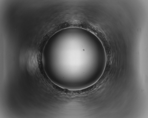 X0000089441301200706151406