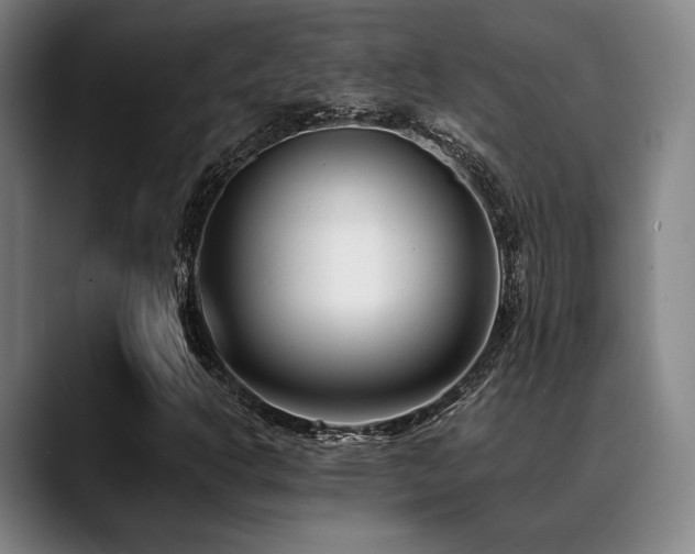 X0000089441302200706151406