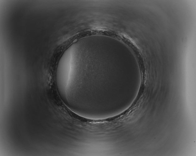 X0000089441303200706151406