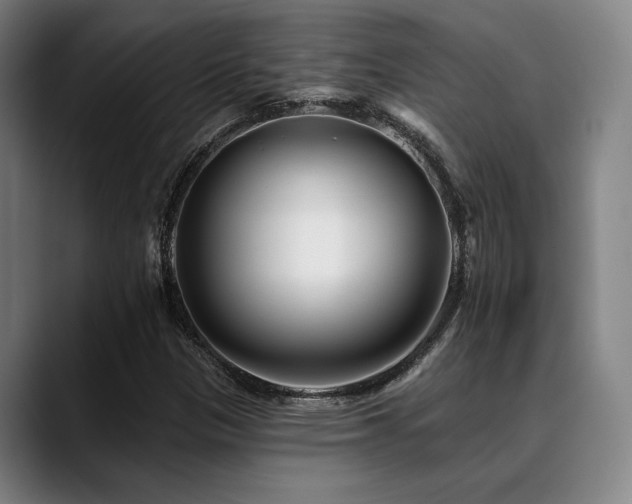 X0000089441305200706151406