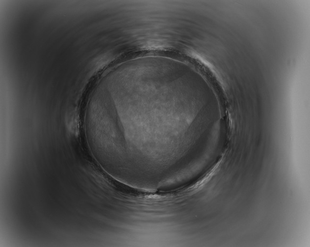 X0000089441306200706151406