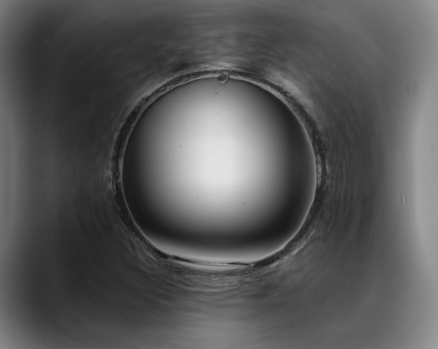 X0000089441308200706151406