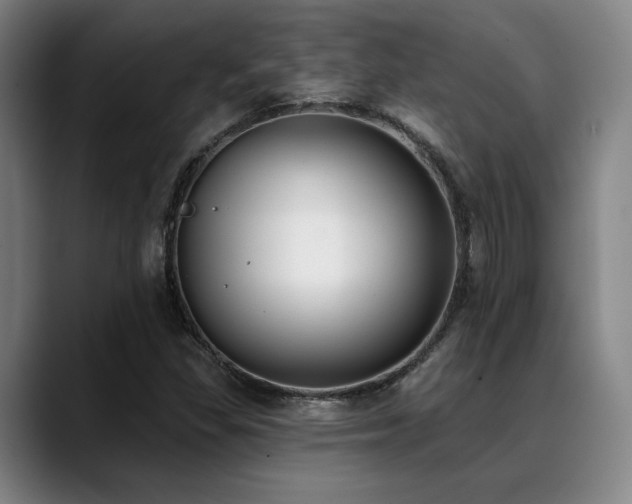 X0000089441309200706151406