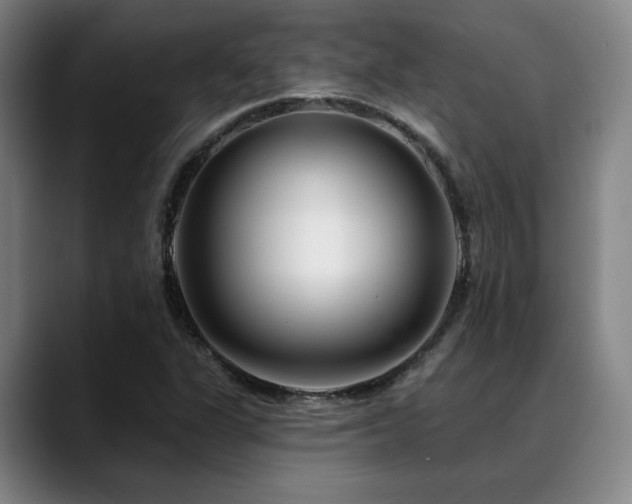 X0000089441311200706151406