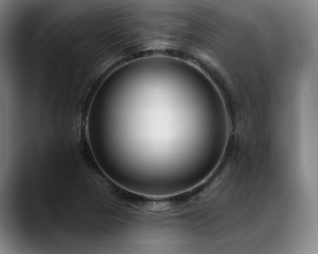 X0000089441313200706151406