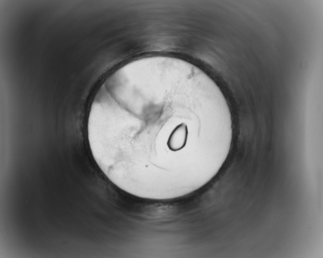 X0000089441314200706151406
