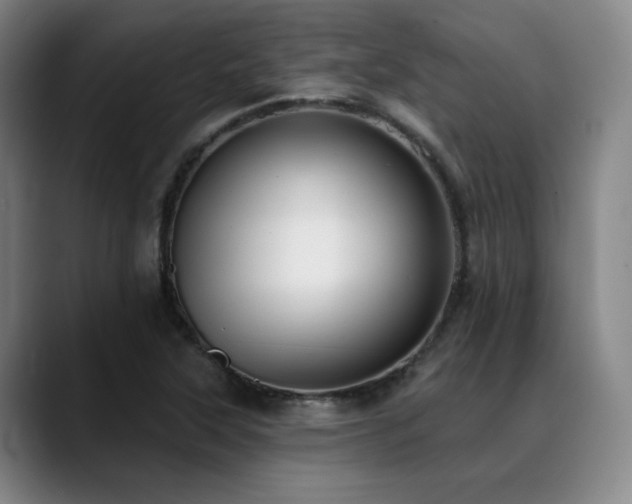 X0000089441315200706151406