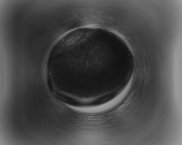 X0000089441319200706151406