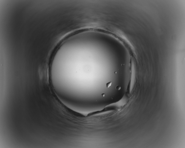 X0000089441320200706151406