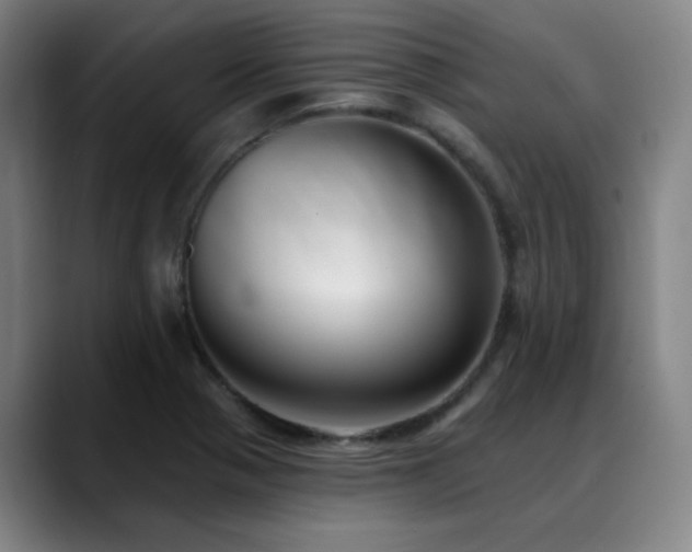 X0000089441321200706151406