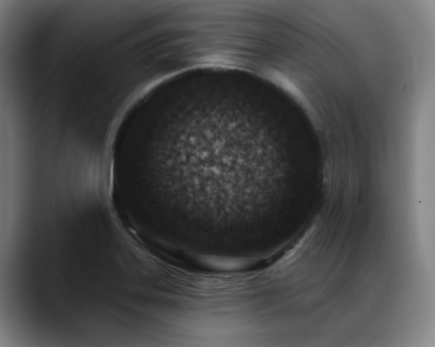 X0000089441323200706151406