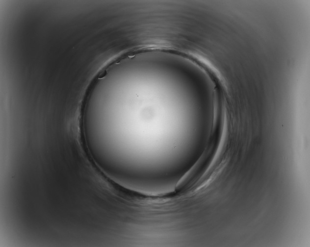 X0000089441325200706151406