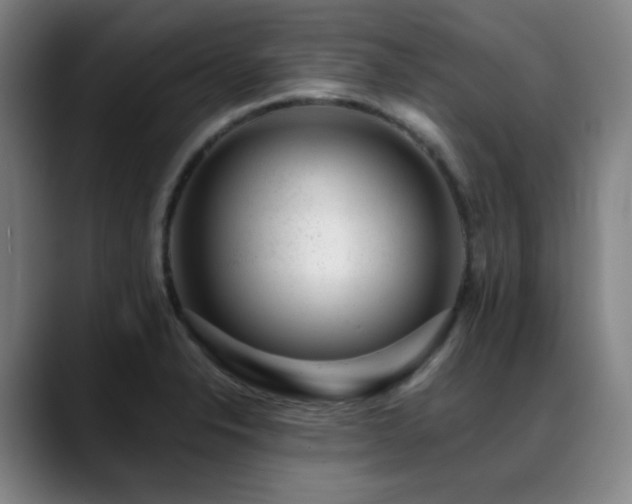 X0000089441326200706151406