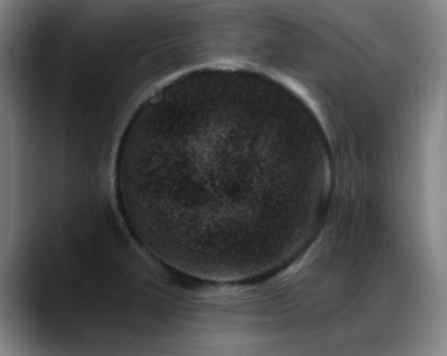 X0000089441327200706151406