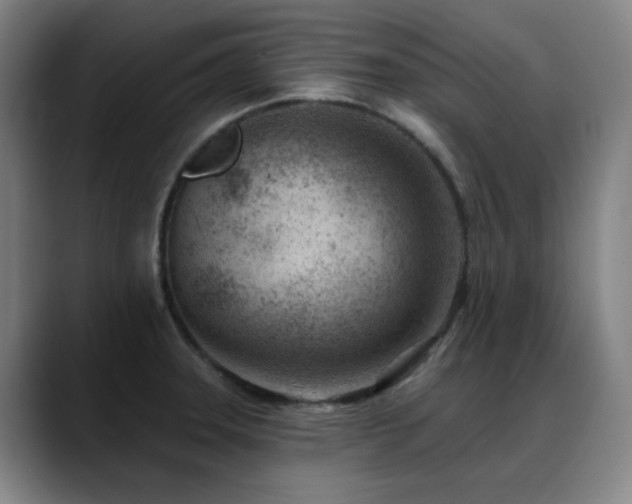 X0000089441331200706151406